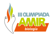 OlimpiadaBIR
